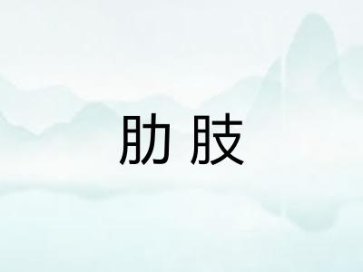 肋肢
