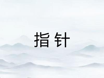 指针