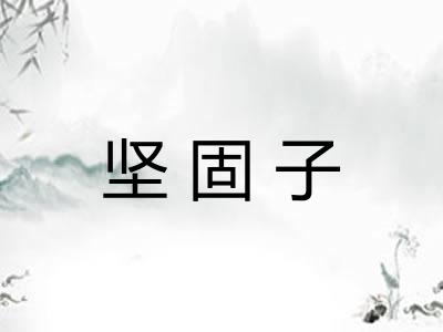 坚固子