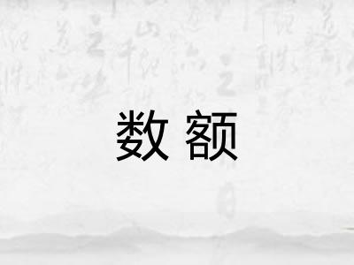 数额